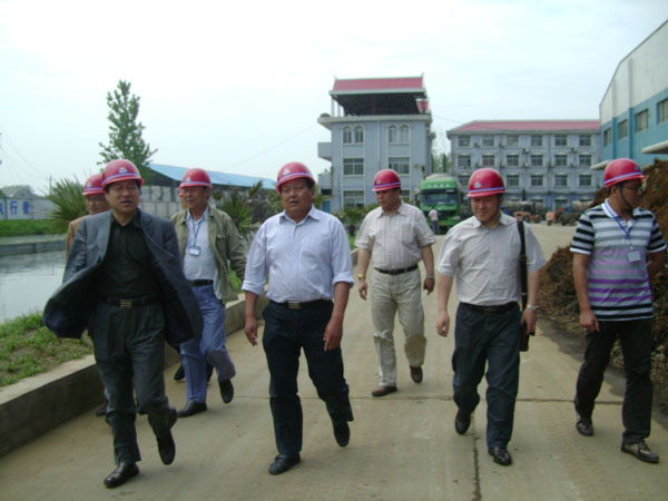 �ǿ��ۺ������������