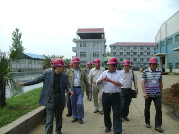 �ǿ��ۺ������������